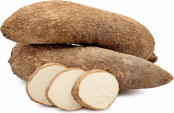 an-introduction-to-different-types-of-yams